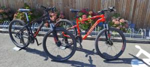 VTT CLASSIQUE HAIBIKE OU VERTIGO